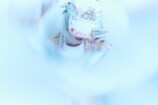 Grimes