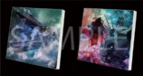 『ヤマトよ永遠に REBEL3199』CD発売への画像