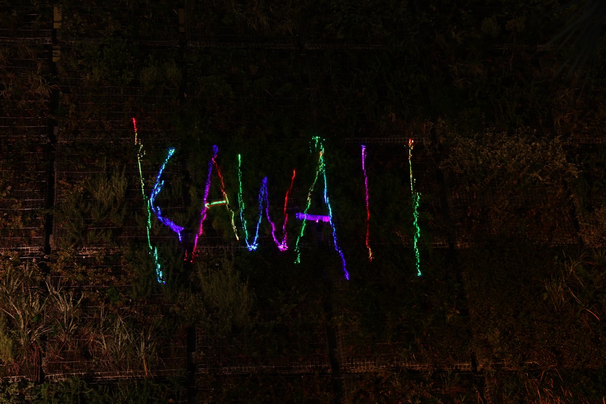 KAWAII夜市 vol.1 原宿可愛夜市