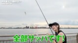 あま猫、念願のハイラックスで釣りへの画像