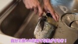 あま猫、念願のハイラックスで釣りへの画像