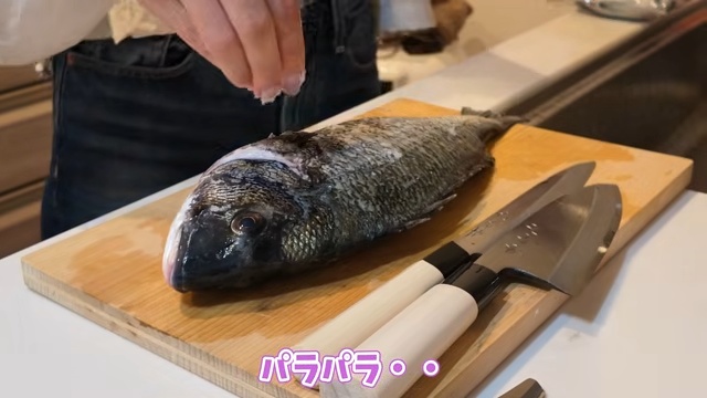 あま猫、念願のハイラックスで釣りへの画像