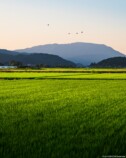 新潟 燕三条
