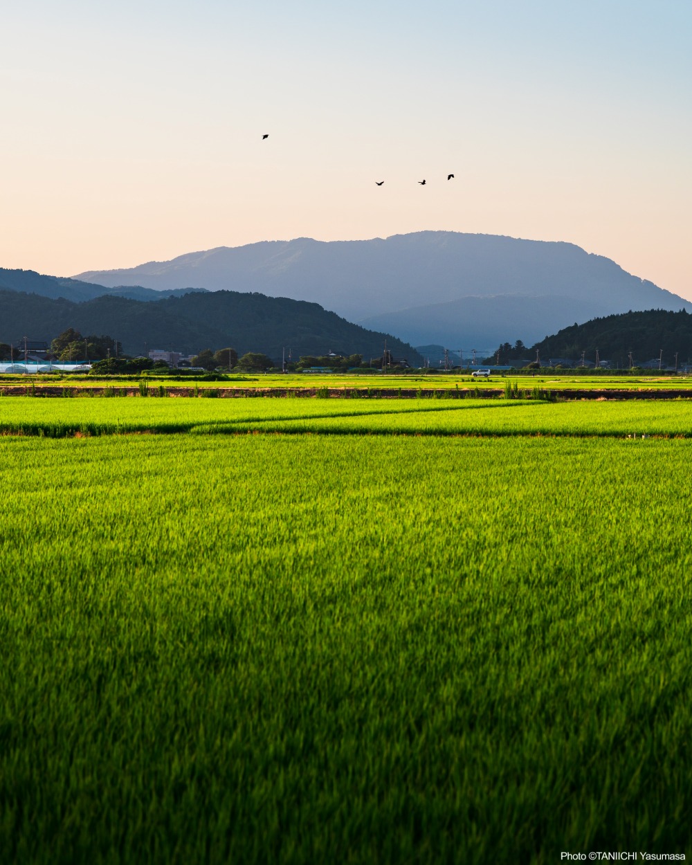 新潟 燕三条