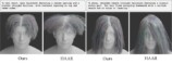 『SIGGRAPH 2026』注目論文を振り返るの画像