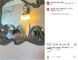原菜乃華、ティアラ姿で23歳バースデーの画像