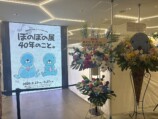 『ぼのぼの展』渋谷で開催！40年の歩み辿るの画像