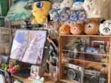 デジタルクリエイター兼薬剤師のharupiさんのデスク