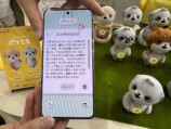 『TOKYOおもちゃショー2026』レポの画像