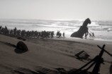 ワーナーが葬りかけた映画が北米No.2の快挙の画像