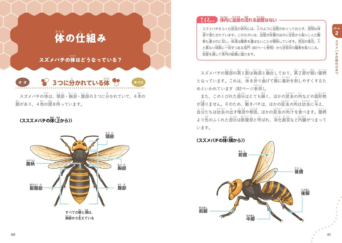 『にっぽんのスズメバチ』9月刊行の画像