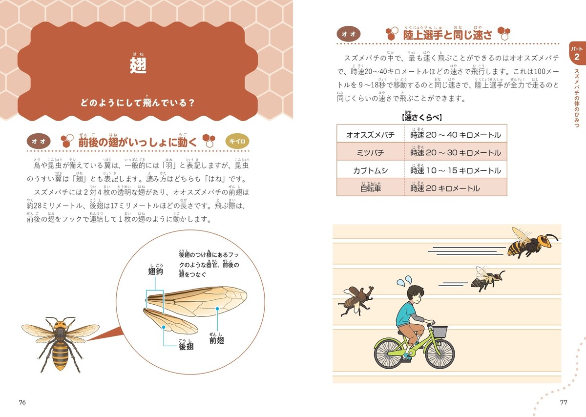 『にっぽんのスズメバチ』9月刊行の画像