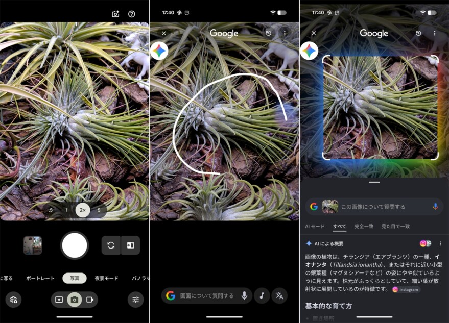かこって検索