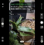テレプロンプター