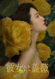 中国ドラマ『彼女は薔薇』第1話が特別公開の画像