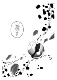 【漫画】流れ星へのお願いが叶ったら？の画像