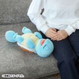 ゼニガメ　イメージ