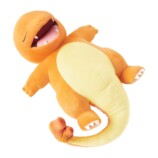 ヒトカゲ　