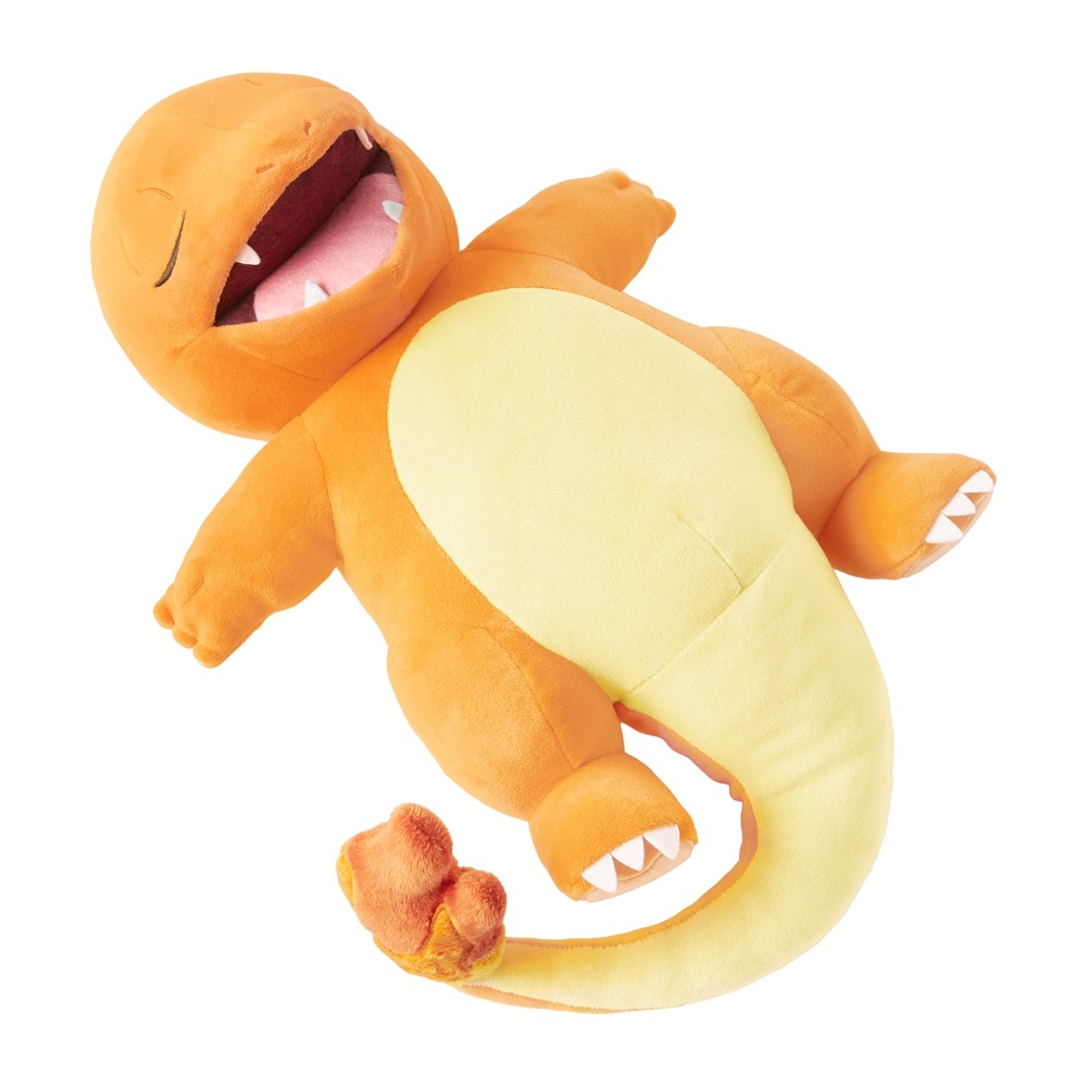 ヒトカゲ　