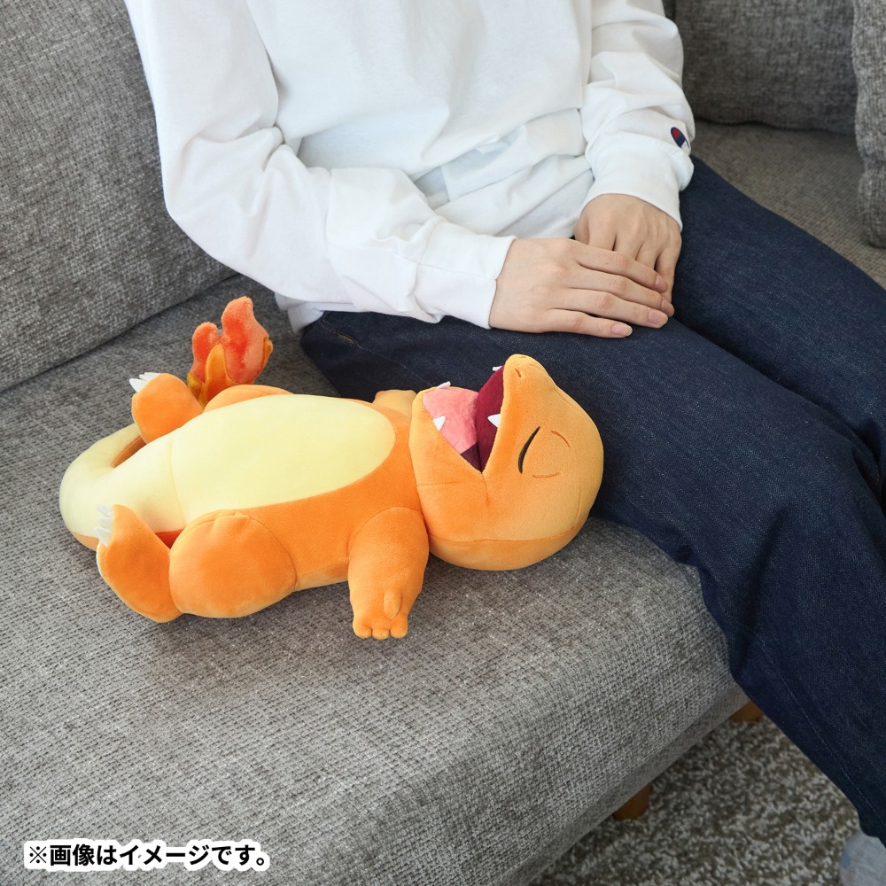 ヒトカゲ　イメージ