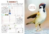 中野さとる『にっぽんスズメ手帳 2027』の画像