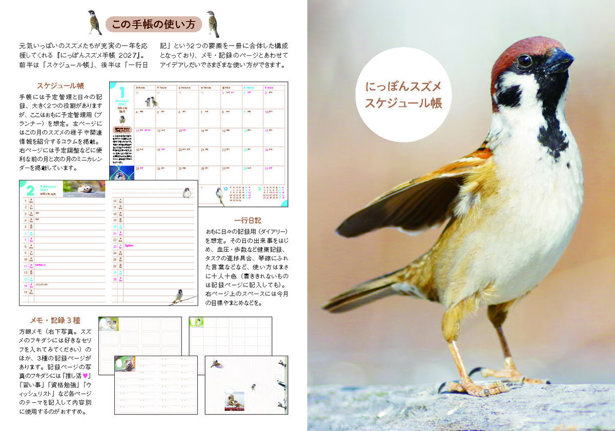 中野さとる『にっぽんスズメ手帳 2027』の画像