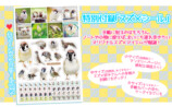 中野さとる『にっぽんスズメ手帳 2027』の画像