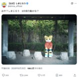 しまじろう、散歩中に「無」になってしまうの画像