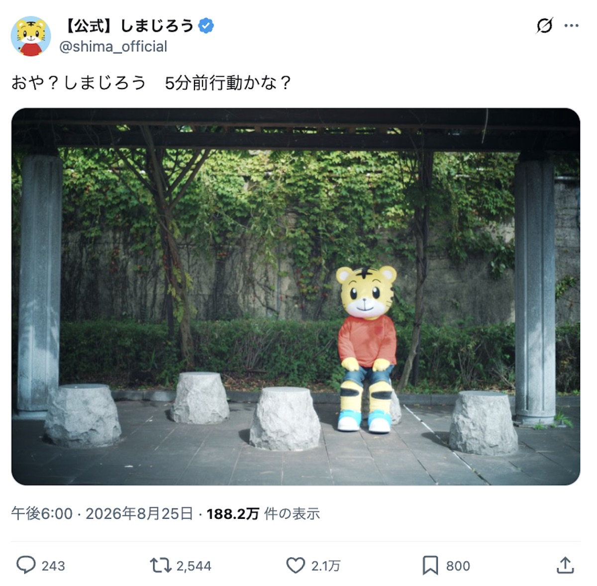 しまじろう、散歩中に「無」になってしまうの画像