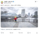 しまじろう、散歩中に「無」になってしまうの画像
