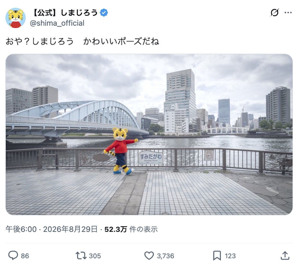 しまじろう、散歩中に「無」になってしまうの画像