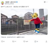 しまじろう、散歩中に「無」になってしまうの画像