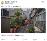 しまじろう、散歩中に「無」になってしまうの画像