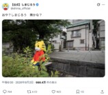 しまじろう、散歩中に「無」になってしまうの画像