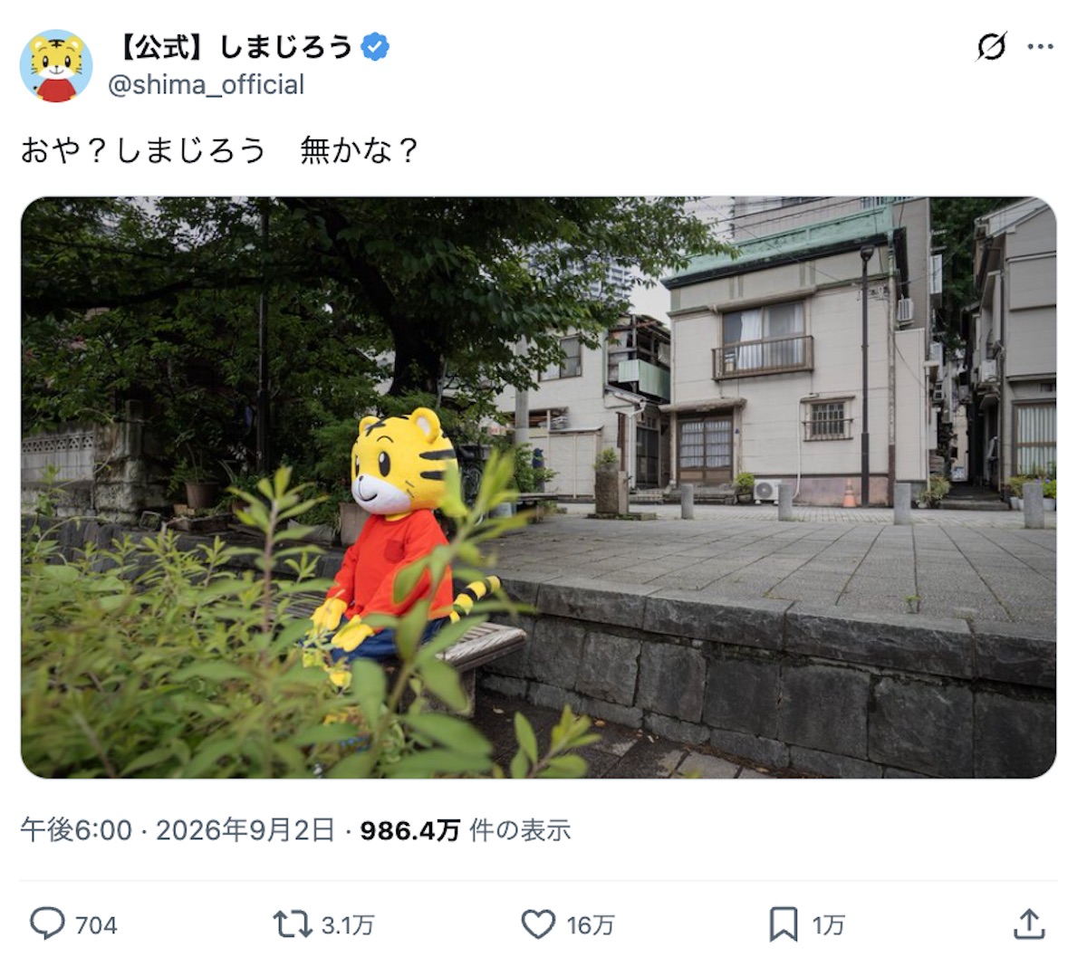 しまじろう、散歩中に「無」になってしまう