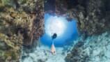 8K対応、DJIの新型360°カメラの画像