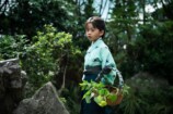 『豊臣兄弟！』家康が主役の異色回にの画像