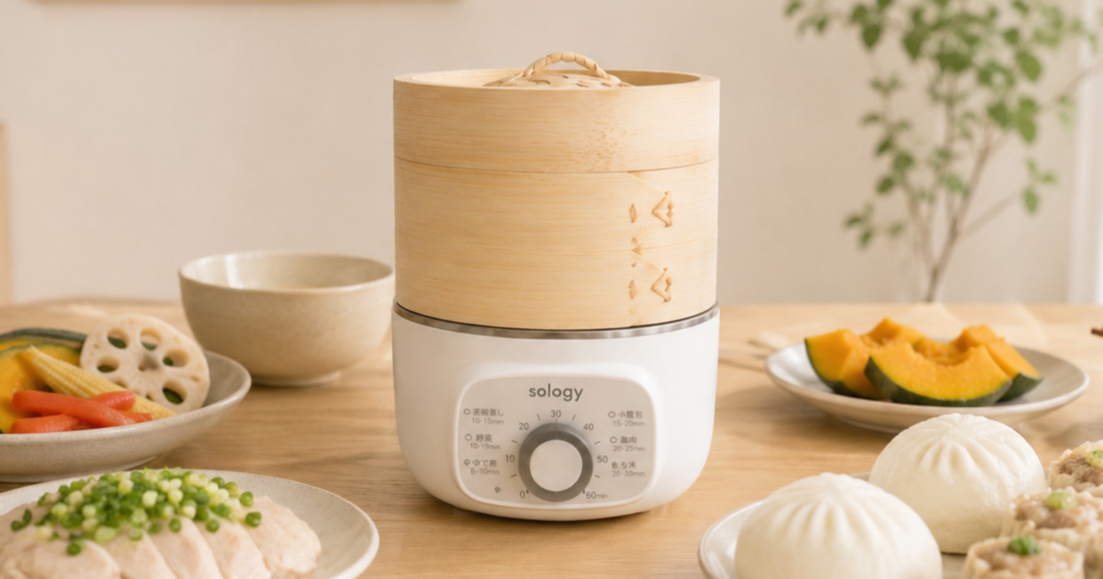 sologyの電気式せいろ発売の画像