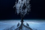 早瀬憩主演『呪いのスマホ』本予告＆場面写真の画像