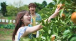 『バカンスの法則』