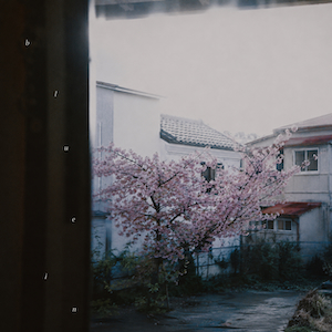 「blue in」ジャケット写真