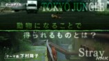 『ゲームゲノム』制作陣が語る見どころの画像