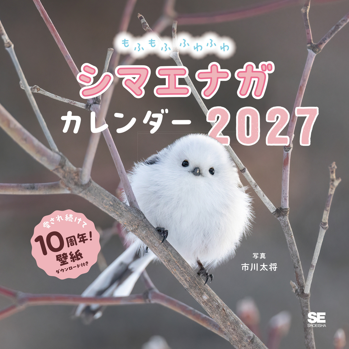 シマエナガカレンダー2027年版発売の画像