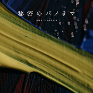 『秘密のパノラマ』ジャケット写真