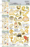 『大人の図鑑®シールブック』重版決定の画像