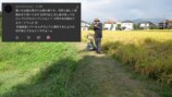 大人気わさび農家、草刈機を“散歩”させるの画像