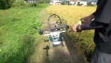 大人気わさび農家、草刈機を“散歩”させるの画像
