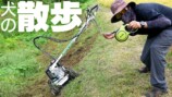 大人気わさび農家、草刈機を“散歩”させるの画像