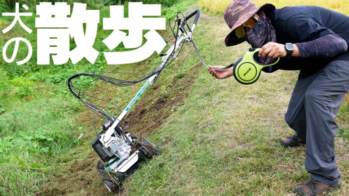 大人気わさび農家、草刈機を“散歩”させる動画に反響 視聴者の声を取り入れた進化に「ここまでできるとは」