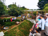 『たぬきはたぬき』×東武動物公園コラボの画像